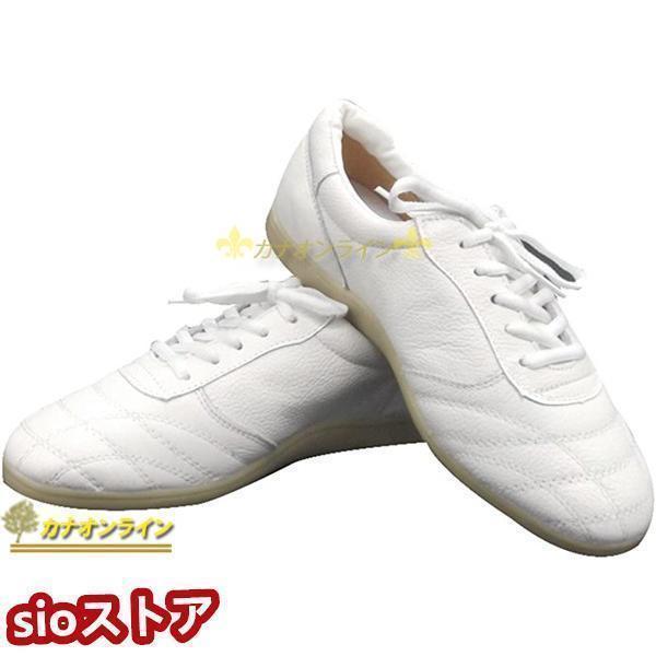 ウーシュー 太極拳シューズ 武術 靴 ソフトレザー スニーカー 牛筋ソール カンフー テコンドー 気功 少林寺拳法 男女兼用 白
