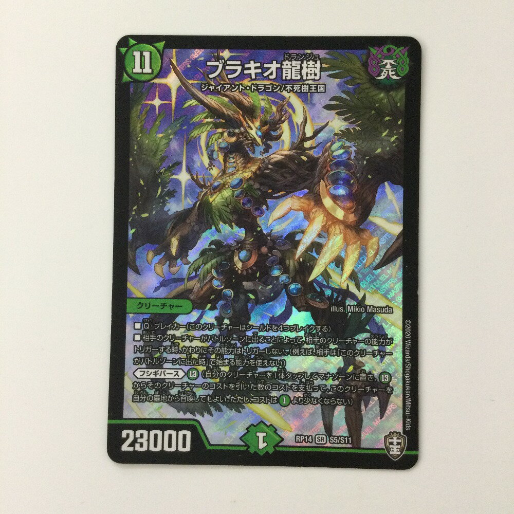 ブラキオ龍樹 初期 2枚 ブラキオ龍樹 初期 2枚 51RBtufpK9L._UF350,350_QL50_.jpg
