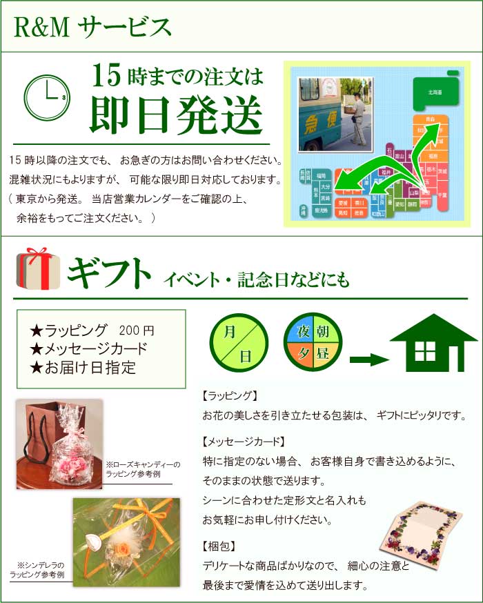 ¤�� ���ԥå��㡼���ڳڥ���_�����ۡڤ������б���