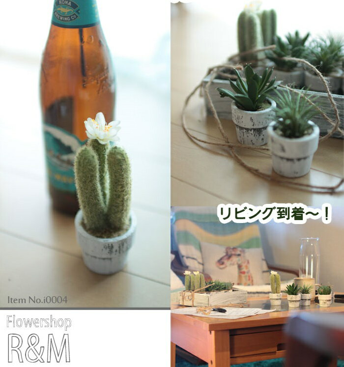 ���ܥƥ� 12�ĥ��å� �ե��������꡼�� ¤�� ���ڤ������б��ۥ���ƥꥢ ���륯�ե�