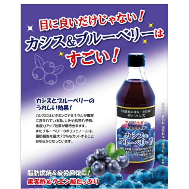 ローランサン 楽天市場支店の果実酢　サンビネガー/飲む健康酢/カシス＆ブルーベリー酢/500ml/5〜6倍希釈｜アングル2