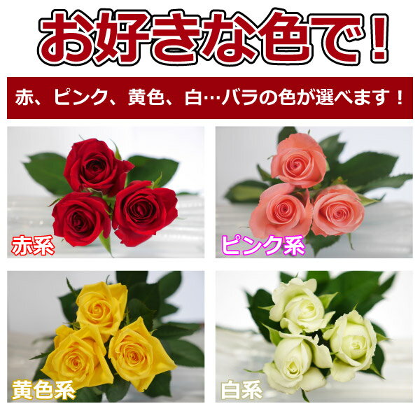 バラ 花束 20本 3980円 100本まで追加1本150円 本数指定選べる4色 赤バラ ピンク 黄色 白バラ 誕生日 記念日 お祝い 結婚記念日 送別会 30本 40本 還暦 60本 プレゼント サプライズかすみ草追加