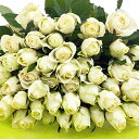 バラ 白 50本 花束 お祝 歓送迎会 還暦祝い 60本 結婚式 プロポーズ108本 100本 薔薇 純白 ホワイト 白寿 卒寿 百寿 白いばら プレゼント 生花 誕生日 サプライズ 卒業式 誕生日 記念日 ギフト 薔薇の花束