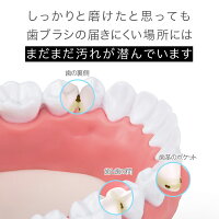 【送料無料】\セットでお得!SALE中10%OFF/ROAMANデンタルケアセット(音波電動歯ブラシ+ウォーターフロス)ギフト母の日父の日プレゼント新生活