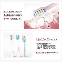 ROAMAN音波電動歯ブラシT10(ピンク/ブルー)洗顔ブラシ付き充電式持ち運びオーラル替えブラシあり子供にもおすすめソニック音波振動
