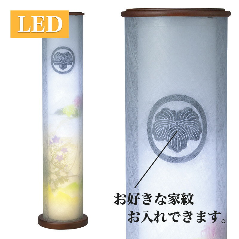 �ڥ����ѡ�SALE��19%OFF�������� ����� ������������� No.2907M (����� ���� �������� LED ���ĥ)/�ߤ��礦���� ���� ���� ���� ...