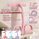 簡単な全身運動 男女通用 健康器具 高強度 有運動 室内 健康器具 背筋 腹筋 腰 お腹 トレーニング フィットネス ヨガ器材 家庭用 室内