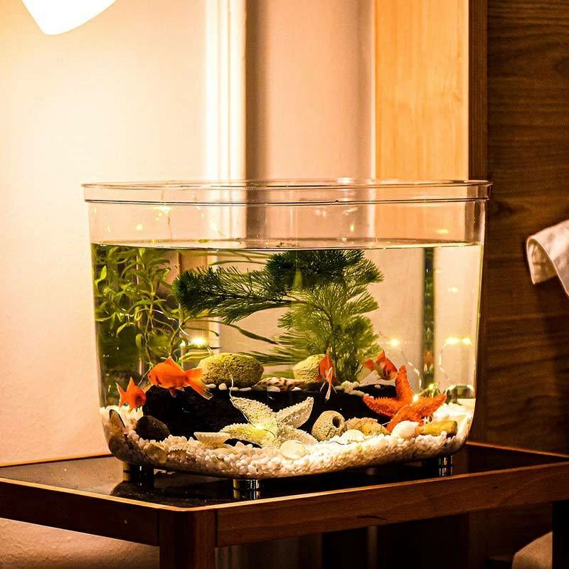 雅和屋のPET素材 部屋 金魚鉢 金魚 大きいサイズ/特大サイズ 爬虫類 暮らし オフィス多機能 カニ 透明 亀 卓上 高透明 水槽 テーブル アクセサリー 鉢 おしゃれ 鉢｜アングル2