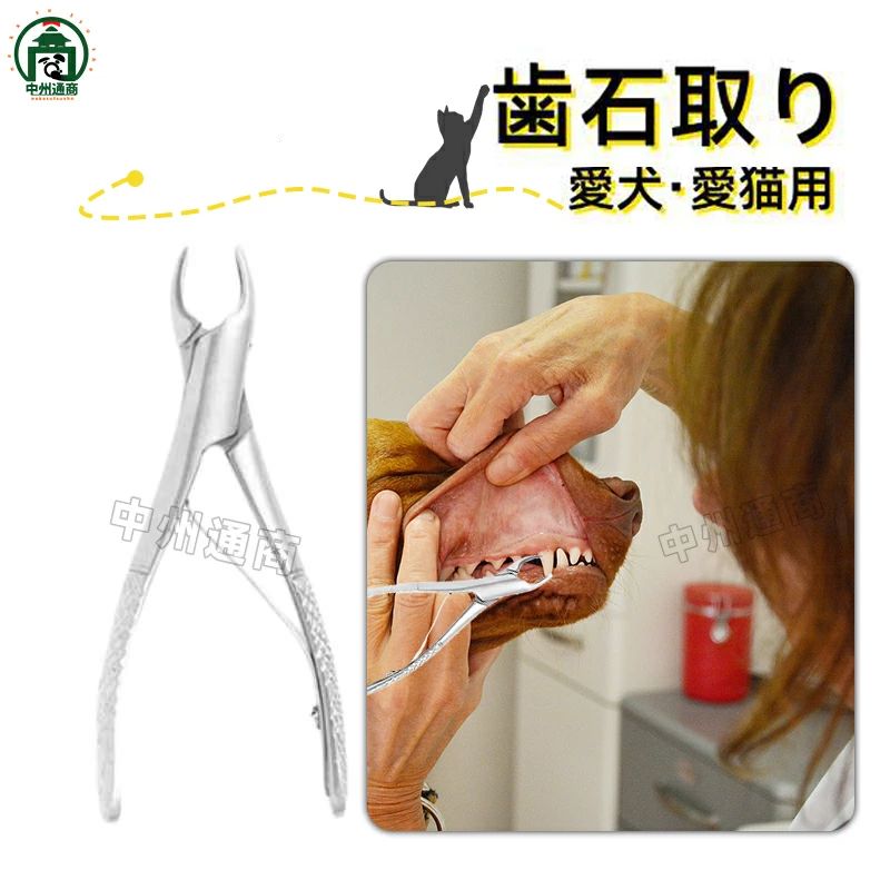 愛犬・愛猫用 歯石取り ペンチ 犬 歯石 デンタルケア ホームケア 猫 プロも愛用