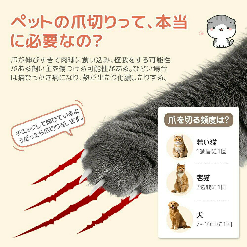 ���ڤ� ǭ���ڤꥰ�å� �ڥå��� �����ڤ� LED�饤���դ� �ڥå������ڤ� �Ĥ��ڤ� ǭ �� �䤹�� �޸��� ǭ�����ڤ� �ޥ��� �ڤ�䤹�� �ڤꤹ���ɻ� �����ɻ� ���ӻ��ꥬ���� �䥹���դ� �ޥ䥹�� �鿴�� ˽��� �����ɻ� ��������