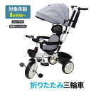 三輪車 屋根付き 子供用 子供用三輪車 子ども用 ステップ付き 保護バー 取り外し 可能 ステップ ペダル 幼児 キッズ 乗り物