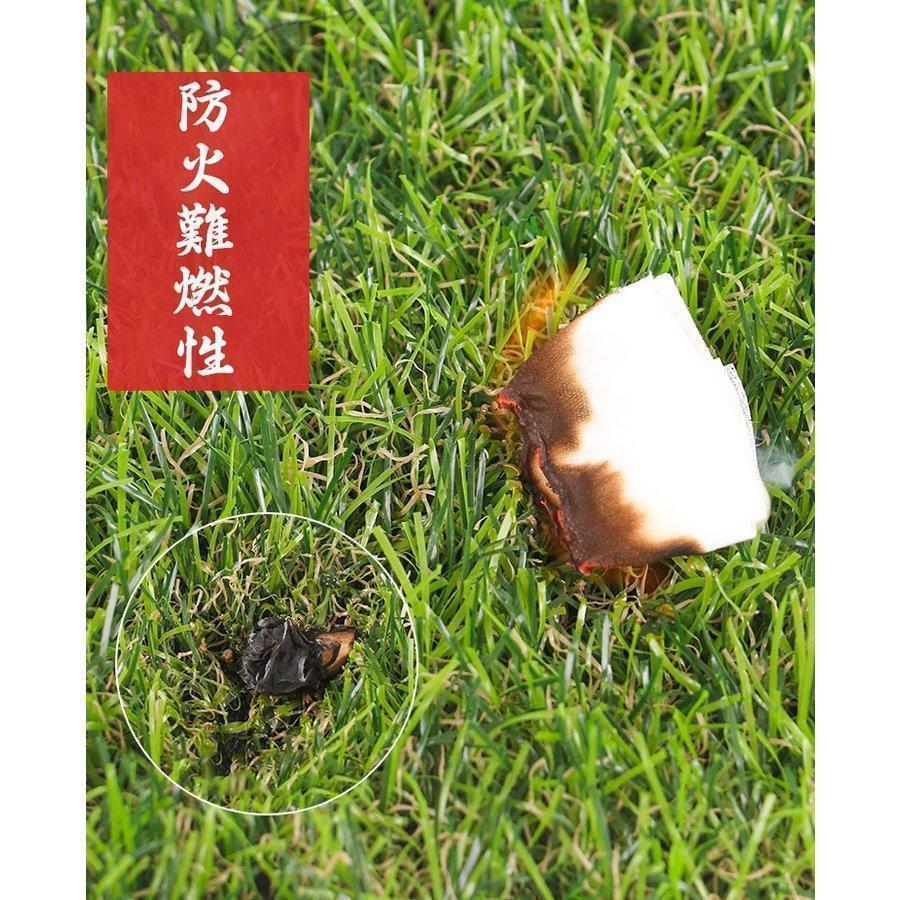 ��2M*Ĺ��25M ¿��������� �͹��� �ץ饹���å� �ե����� ��ʪ ���ձ� ���� ���� ���꡼�󥫡��ڥåȥޥå�