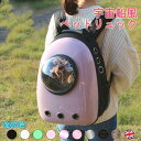キャリーバッグ 猫 リュック トラベル ネコ 犬 イヌ 旅行 マット パット スリング バック バギー ペットリュック 可愛い 散歩 通院 軽量 小型 ペットキャリー