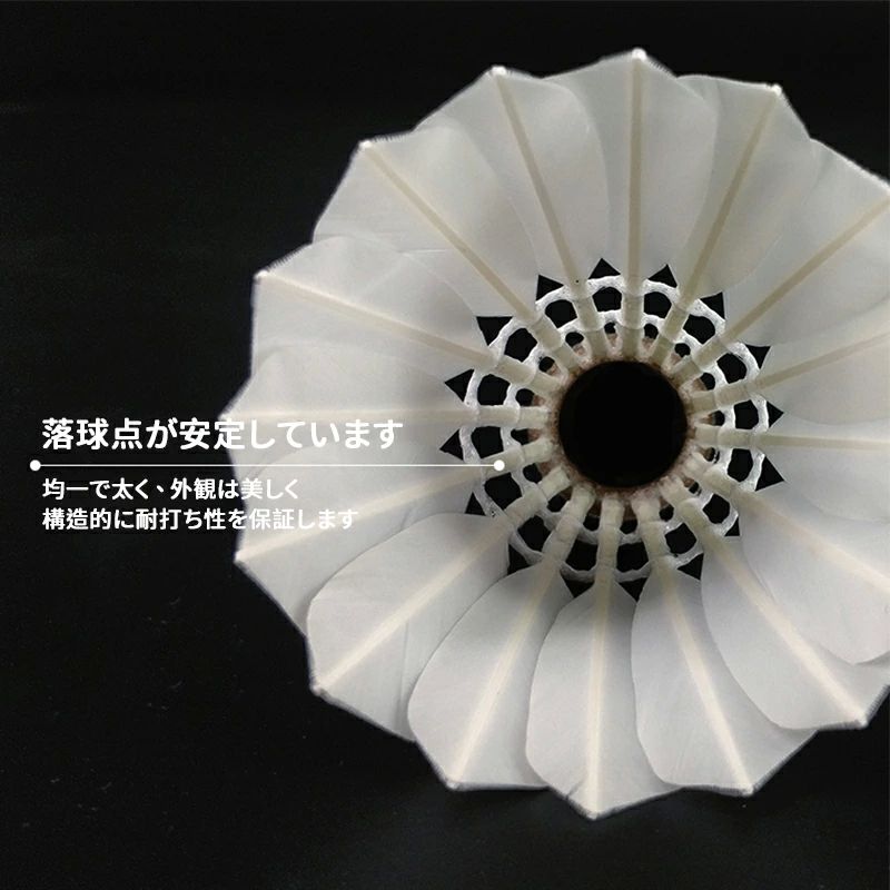 �Хɥߥ�ȥ�Хɥߥ�ȥ󥷥�ȥ륬���祦�α������ѵ���(1������12��)����������ư�ѵ׾��ץ��륯