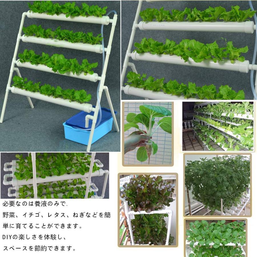 水耕栽培キット すいこう栽培キット 野菜 栽培キット 室内 いちご 家庭菜園 水耕栽...