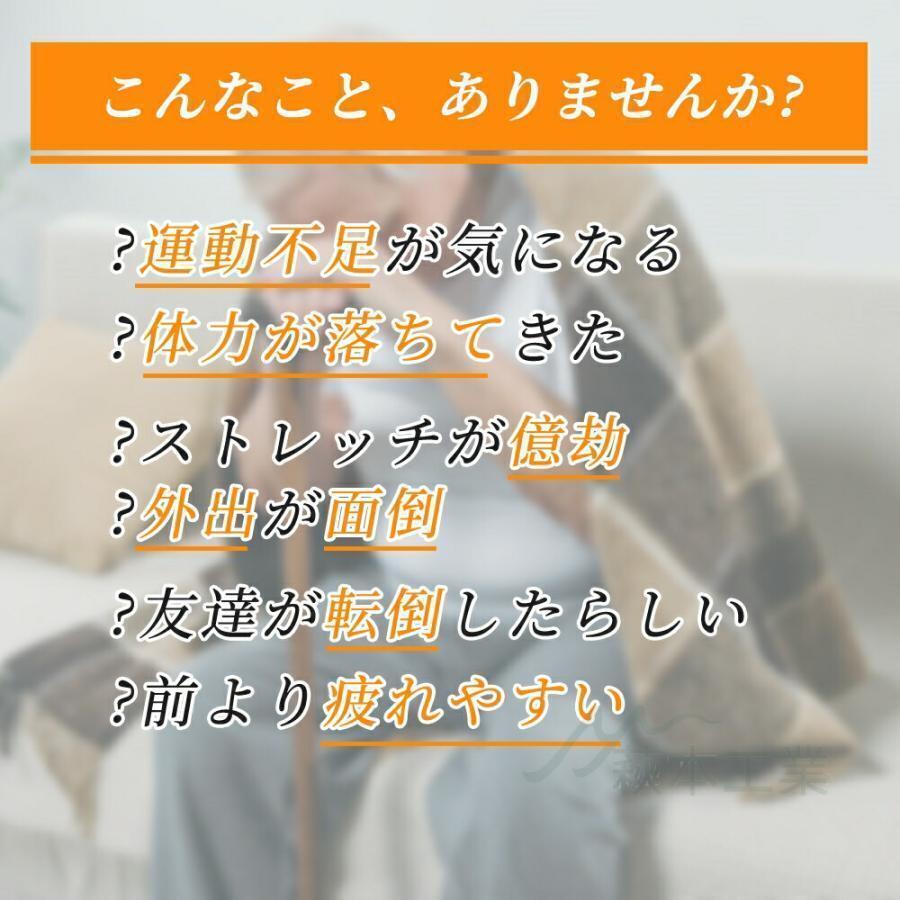 ステッパー 電動 健康器具 リハビリ 室内運動 小型 正転・逆転 12段階速度調節 静...