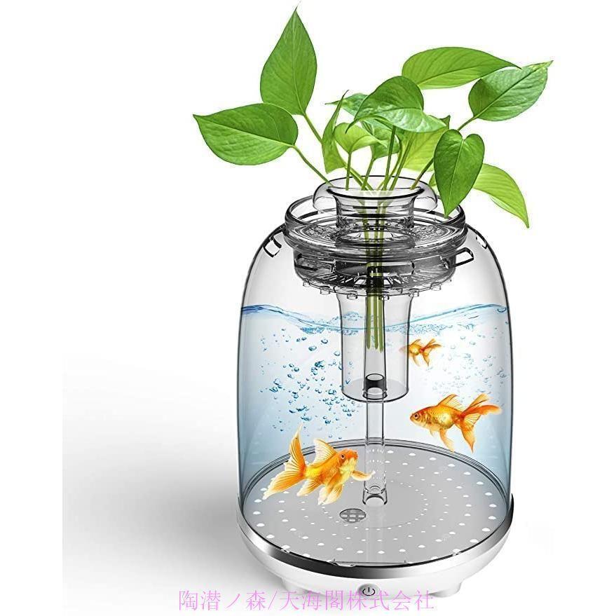 ���� �����륤������� �������ꥦ�� ����ƥꥢ ���奻�å� �����饻�å� ��������饻�å� �٥����饻�å� �ǥ������� ���ʮ�� ��̺��ݥץ�󥿡� ���� ...