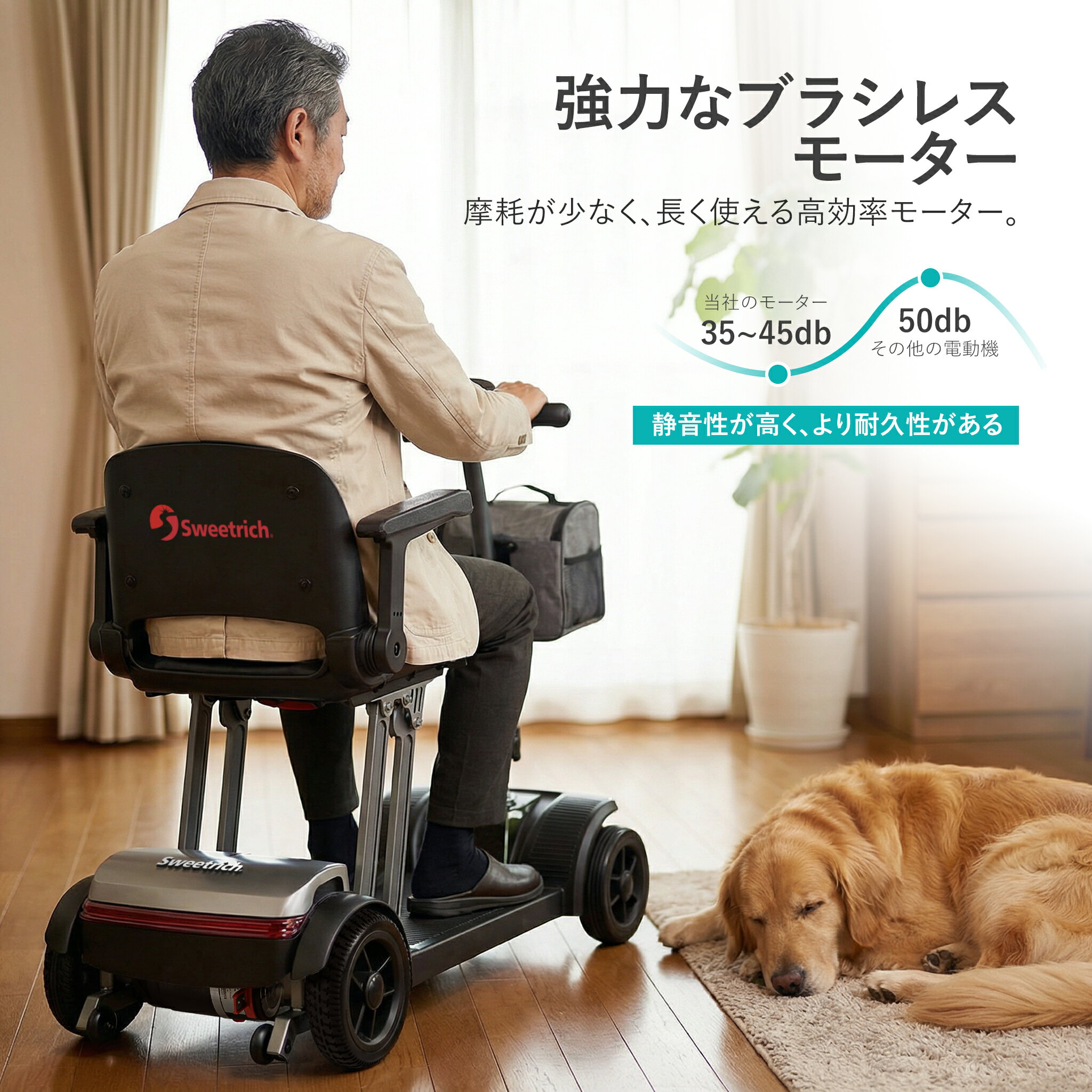 �ڱ�ž�ȵ������ס۹���Ը�����ư��ӥ�ƥ����������� ��® 6km 12/20AH �������Хåƥ꡼ ���Ե�Υ 25km ����߹��ե졼�� ���η��ޤꤿ���ߥ����� �¿�����