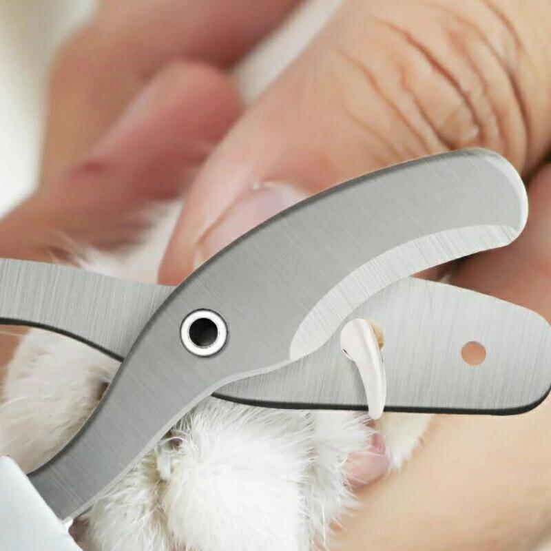 ǭ ���ڤ� �� ���ڤ� �� �Ĥ᤭�� ������ �鿴���б� ���֥륫���ֿ� �ϥ�ɥ� 1������ �ڥå��� �ڤ� �� ǭ