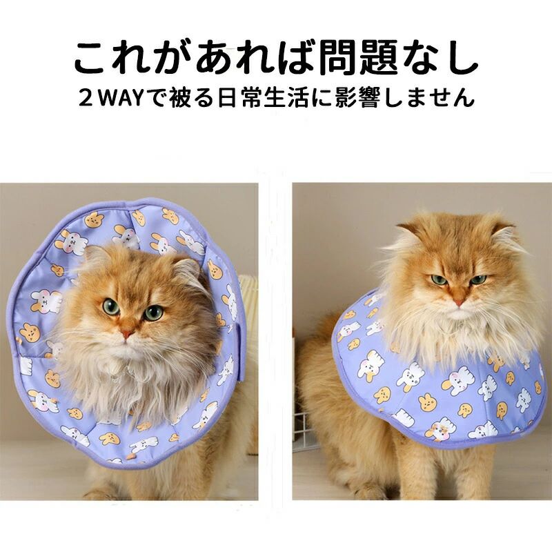 ���ꥶ�٥����顼 ǭ �� �ڥå� ���եȥ����� �Ѹ� ���Ӥ� �̵��������뤯�ʤ�­�Ӥ��ɻ� ���� �� �Ҥä��� ���� �µ� ���� ���� ��� ���襤�� ���ե� Ĵ���ǽ ���� ���餫 �Υ󥹥ȥ쥹 ���顼 ǭ�� ���� ���Ӥ��ɻ� �����ߤ��ɻ�