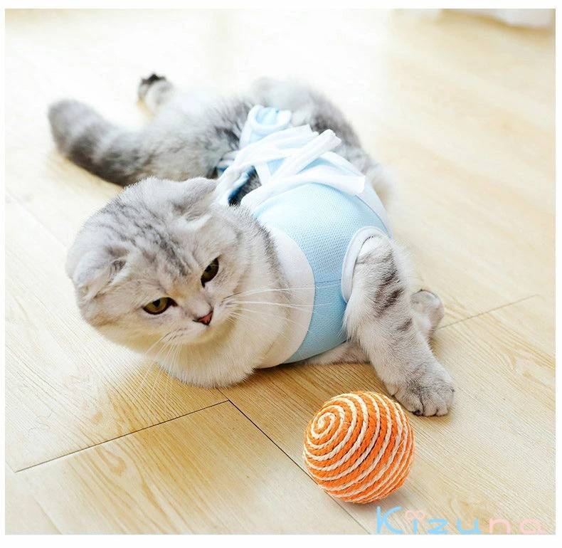 ペット用術後服 メール便送料無料 エリザベスカラー ウ 猫ちゃん