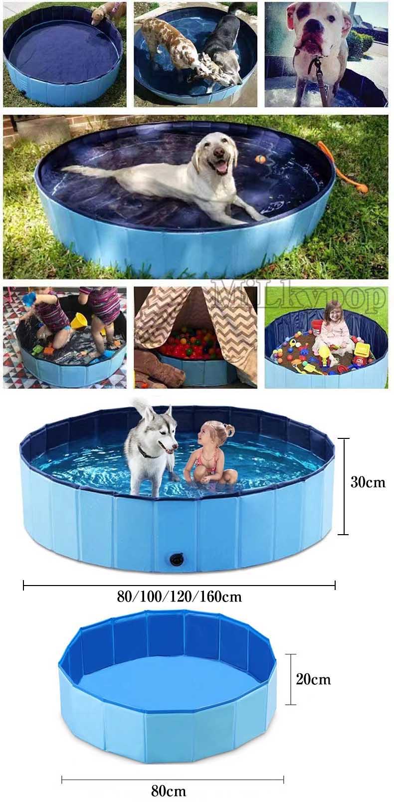 �� ������ �淿 ������������ �ס��� �ڥå��ѥХ����å� �ס���