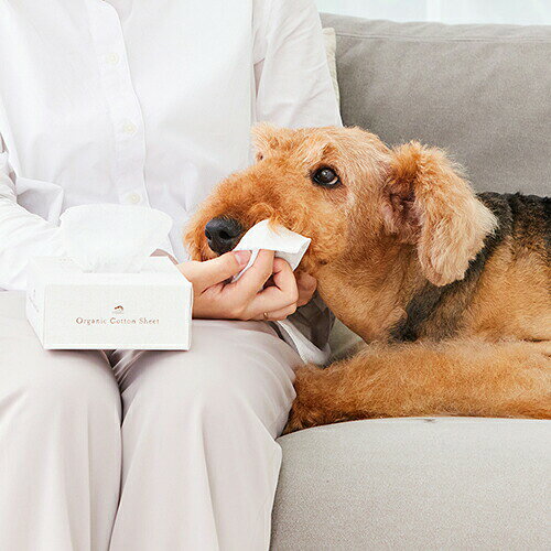 made of Organics for Dog オーガニック コットンシート 180枚入 （犬猫用）
