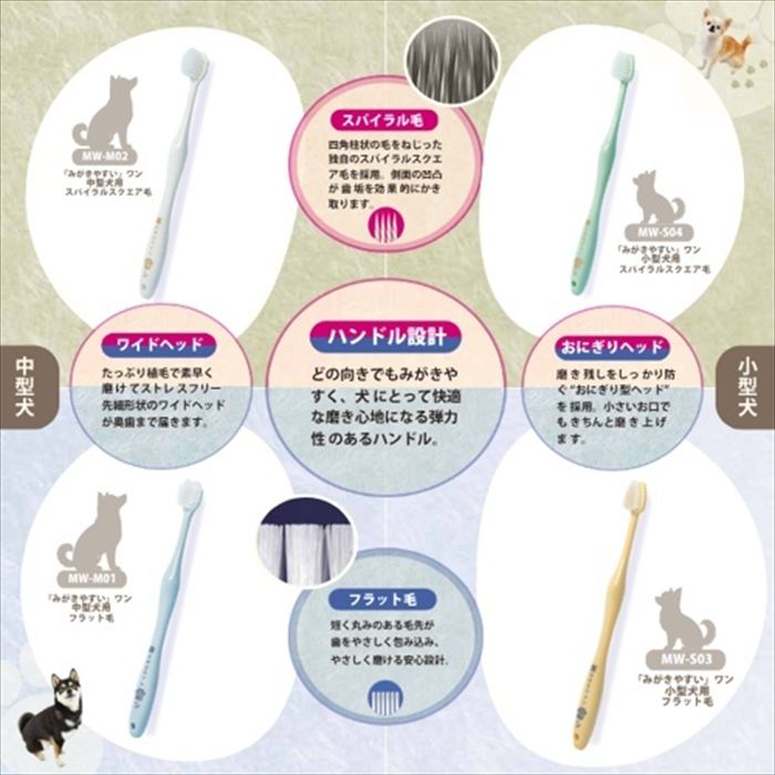 ROBERT2号店のCHIKUWA みがきやすいワン スパイラルスクエア毛 ミディアム 犬専用歯ブラシ｜アングル3
