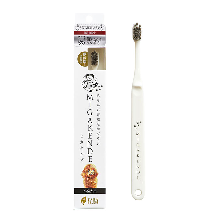 樂天商城 - 天然毛歯ブラシ ミガケンデ 小型犬用 ウマ植毛 確かな磨き心地 1本 （犬用歯ブラシ）