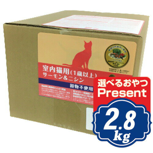 樂天商城 - 【最大10％OFFクーポン配布中】 ウェルネスヘルシーバランス キャット 室内猫用（1歳以上） 穀物不使用 サーモン＆ニシン 2.8kg （400g×7袋） キャットフード 【正規品】【ご注文後のキャンセル・返品・交換不可】【代金引換不可・コンビニ後払い不可】