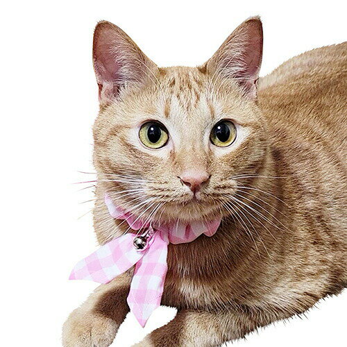 ブルーミー キャットスカーフ ギンガムピンク 【メール便可】