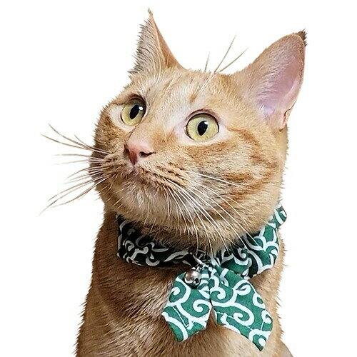 ブルーミー キャットスカーフ 唐草緑 【メール便可】