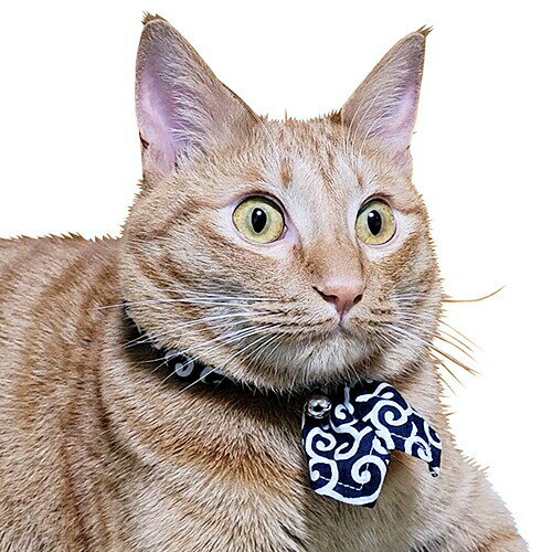 ブルーミー キャットスカーフ 唐草青 【メール便可】