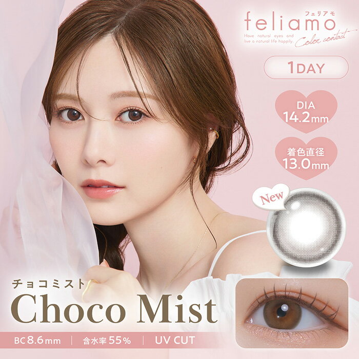  feliamo 1day チョコミスト 度なし 度あり カラコン フェリアモ 1箱10枚 ワンデー 白石麻衣