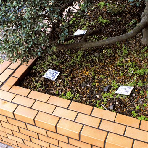 【最大10％OFFクーポン配布中】 トーラス お外のシツケ マーキングお断り 耐雨分包 10g×20包（犬猫用品） 2
