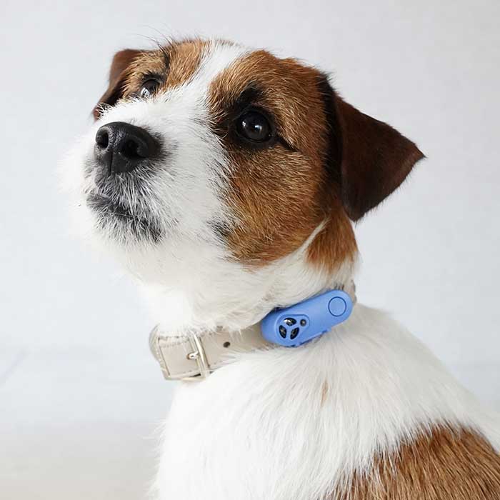 ROBERT2号店のTICKLESS チックレス USBタイプ オレンジ （犬猫用ダニ・ノミ対策）ベムパートナー｜アングル2