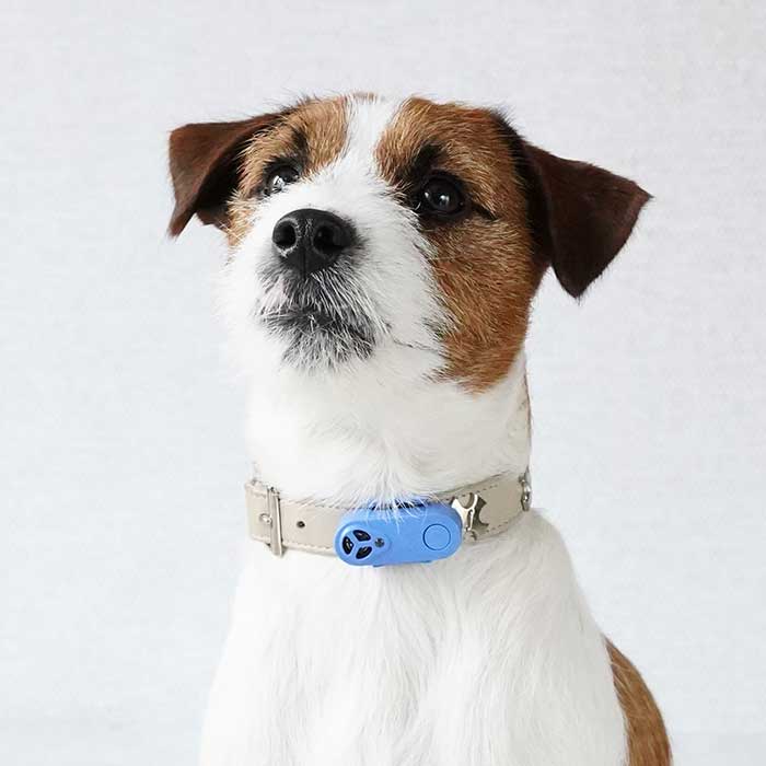 ROBERT2号店のTICKLESS チックレス USBタイプ オレンジ （犬猫用ダニ・ノミ対策）ベムパートナー｜アングル3