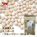 オーシーファーム 乳酸菌ミニボーロ ブルーベリー 50g (犬用おやつ)