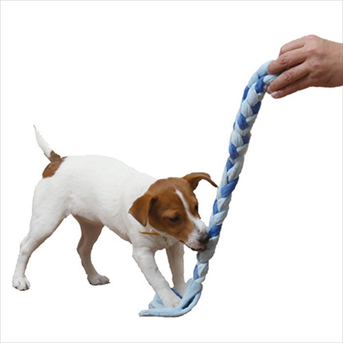 ���������ץ������� �ȥ饹�ȥߡ� ������ �ѥԡ� �֥롼 �ʸ��Ѥ�������