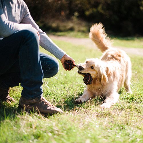 �롼����� P.L.A.Y �����ȥɥ����꡼�� �����ץȥ� �С��٥� S �ץ쥤 �ʸ��Ѥ������ˡڤ���ʸ��Υ���󥻥롦���ʡ����Բġ�