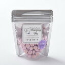 【最大2000円OFFクーポン配布中】 ハミングドッグ さくさくぼーろ ブルーベリー 50g (犬用おやつ) ワンダードック