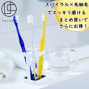 【単品&まとめ買い】 ロブラング スパイラル先細毛歯ブラシ 1本〜6本セット 歯ブラシ 歯ぶらし ハブラシ 虫歯予防 歯周病予防 歯磨き ハミガキ ふつう デン...