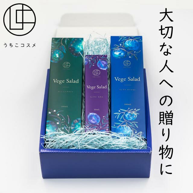 うちこコスメ ベジサラダ ギフトボックス基礎化粧品 洗顔料 化粧水 美容液 スキンケア エイジングケ