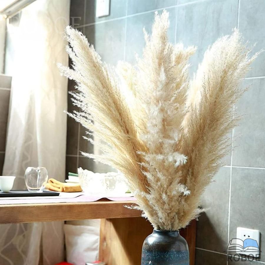 樂天商城 - 乾燥パンパスグラス観賞用高さ10本の茎27.5インチパンパスグラスは大きくふわふわ、大きなパンパスグラスは背が高く、パンパスグラスの