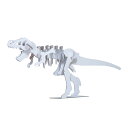 恐竜 ティラノサウルス ハコモ hacomo