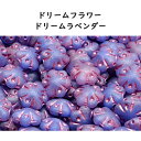 チェコビーズ ドリームフラワー ドリームラベンダー