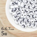 アルファベット E ボタン型 タイコ