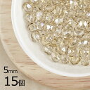 【15個】【ファイアポリッシュ】クリスタルクラリット 透明系 クリア 約5mm ハンドメイド 手芸 材料 ピアス ネックレス【ビーズ パーツ チェコビーズ ガラ...
