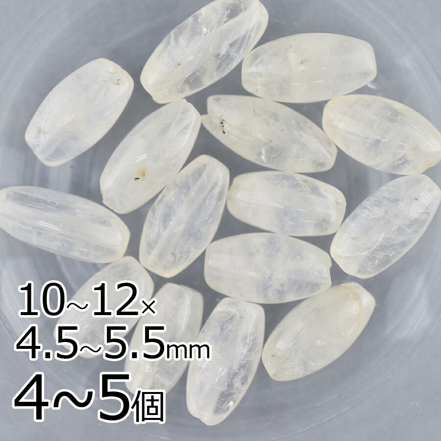 ڥӡ ѡ Ⱦ ֥롼ࡼ󥹥ȡ ʥĥ ŷСۡ45ġۡڥѡ  ۥ磻ȡۡ10124.55.5mm ...