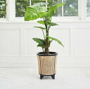 ラタン プランターカバー ラウンド ナチュラル モダン 観葉植物 鉢カバー 籐 8号 北欧 ヴィンテージ風 大きめ 脚付き 収納 IZ81337S